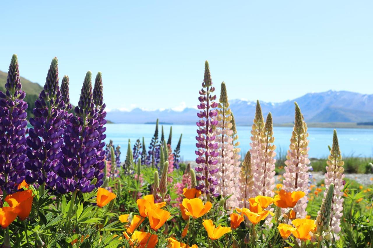 Willa Mt Sefton Lake Tekapo Zewnętrze zdjęcie